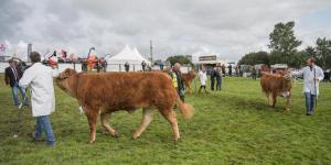 KEITH SHOW 2019 11TH -12TH AUG  IBI KEITH  -303