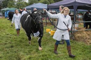 KEITH SHOW 2019 11TH -12TH AUG  IBI KEITH  -305