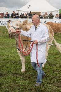 KEITH SHOW 2019 11TH -12TH AUG  IBI KEITH  -306