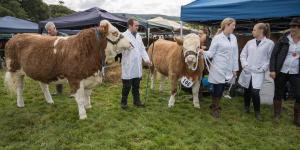 KEITH SHOW 2019 11TH -12TH AUG  IBI KEITH  -307