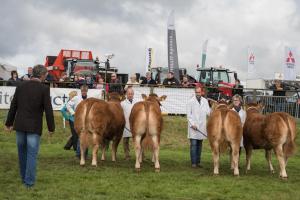KEITH SHOW 2019 11TH -12TH AUG  IBI KEITH  -308