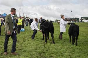 KEITH SHOW 2019 11TH -12TH AUG  IBI KEITH  -309