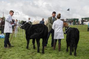 KEITH SHOW 2019 11TH -12TH AUG  IBI KEITH  -310