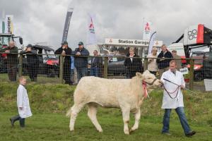 KEITH SHOW 2019 11TH -12TH AUG  IBI KEITH  -311