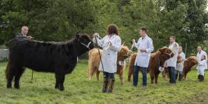 KEITH SHOW 2019 11TH -12TH AUG  IBI KEITH  -313