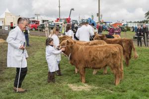 KEITH SHOW 2019 11TH -12TH AUG  IBI KEITH  -314