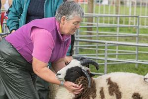 KEITH SHOW 2019 11TH -12TH AUG  IBI KEITH  -317