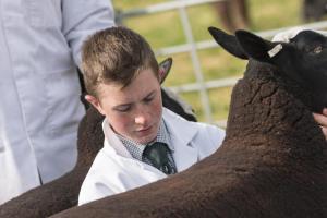 KEITH SHOW 2019 11TH -12TH AUG  IBI KEITH  -321