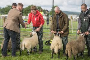 KEITH SHOW 2019 11TH -12TH AUG  IBI KEITH  -322