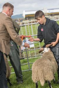 KEITH SHOW 2019 11TH -12TH AUG  IBI KEITH  -325