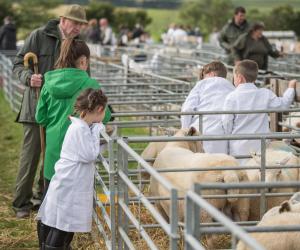 KEITH SHOW 2019 11TH -12TH AUG  IBI KEITH  -327