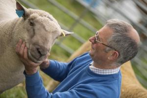 KEITH SHOW 2019 11TH -12TH AUG  IBI KEITH  -328