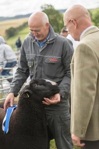 KEITH SHOW 2019 11TH -12TH AUG  IBI KEITH  -331