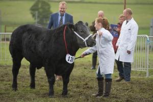 KEITH SHOW 2019 11TH -12TH AUG  IBI KEITH  -333