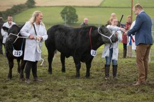 KEITH SHOW 2019 11TH -12TH AUG  IBI KEITH  -334