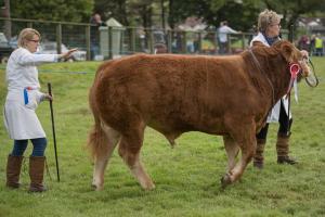 KEITH SHOW 2019 11TH -12TH AUG  IBI KEITH  -338