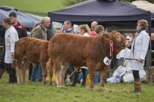 KEITH SHOW 2019 11TH -12TH AUG  IBI KEITH  -340