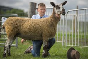 KEITH SHOW 2019 11TH -12TH AUG  IBI KEITH  -350
