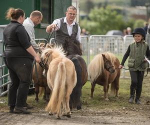 KEITH SHOW 2019 11TH -12TH AUG  IBI KEITH  -352