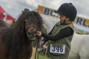 KEITH SHOW 2019 11TH -12TH AUG  IBI KEITH  -362