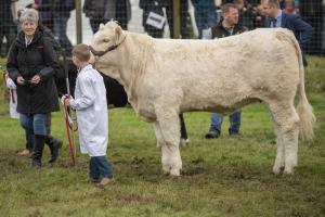 KEITH SHOW 2019 11TH -12TH AUG  IBI KEITH  -366
