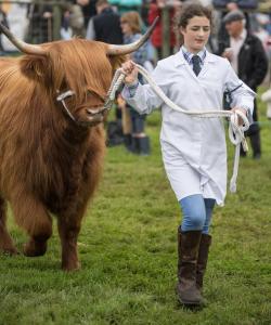 KEITH SHOW 2019 11TH -12TH AUG  IBI KEITH  -367