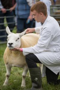 KEITH SHOW 2019 11TH -12TH AUG  IBI KEITH  -373