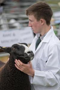 KEITH SHOW 2019 11TH -12TH AUG  IBI KEITH  -374