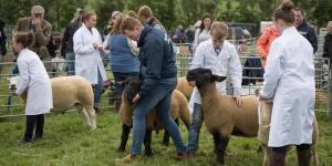 KEITH SHOW 2019 11TH -12TH AUG  IBI KEITH  -377