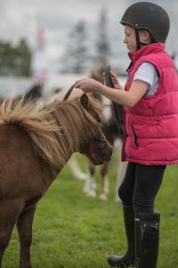 KEITH SHOW 2019 11TH -12TH AUG  IBI KEITH  -385