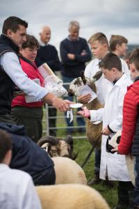 KEITH SHOW 2019 11TH -12TH AUG  IBI KEITH  -391