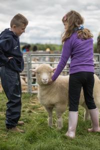 KEITH SHOW 2019 11TH -12TH AUG  IBI KEITH  -393