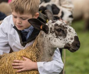 KEITH SHOW 2019 11TH -12TH AUG  IBI KEITH  -399