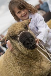 KEITH SHOW 2019 11TH -12TH AUG  IBI KEITH  -400