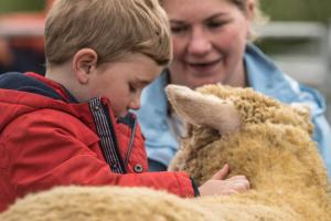 KEITH SHOW 2019 11TH -12TH AUG  IBI KEITH  -402
