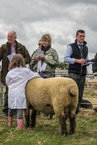 KEITH SHOW 2019 11TH -12TH AUG  IBI KEITH  -403