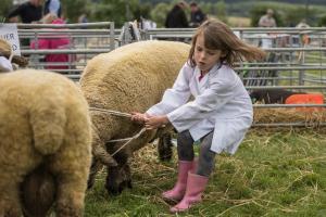 KEITH SHOW 2019 11TH -12TH AUG  IBI KEITH  -405