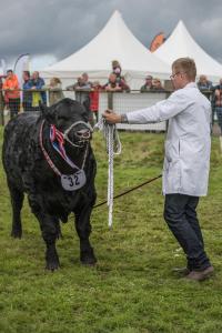 KEITH SHOW 2019 11TH -12TH AUG  IBI KEITH  -409