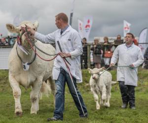 KEITH SHOW 2019 11TH -12TH AUG  IBI KEITH  -410