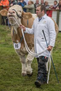 KEITH SHOW 2019 11TH -12TH AUG  IBI KEITH  -411