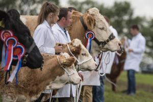 KEITH SHOW 2019 11TH -12TH AUG  IBI KEITH  -413