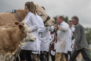 KEITH SHOW 2019 11TH -12TH AUG  IBI KEITH  -414