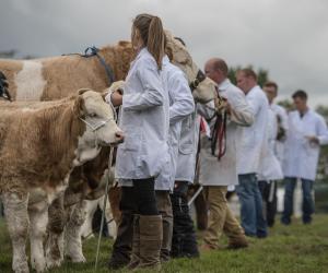 KEITH SHOW 2019 11TH -12TH AUG  IBI KEITH  -415