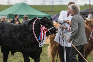 KEITH SHOW 2019 11TH -12TH AUG  IBI KEITH  -418
