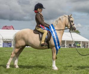 KEITH SHOW 2019 11TH -12TH AUG  IBI KEITH  -424