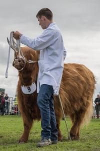 KEITH SHOW 2019 11TH -12TH AUG  IBI KEITH  -428