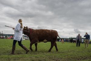 KEITH SHOW 2019 11TH -12TH AUG  IBI KEITH  -429