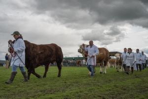 KEITH SHOW 2019 11TH -12TH AUG  IBI KEITH  -431