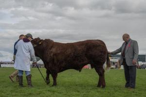 KEITH SHOW 2019 11TH -12TH AUG  IBI KEITH  -432