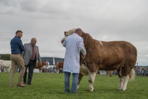 KEITH SHOW 2019 11TH -12TH AUG  IBI KEITH  -433